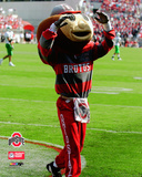 Brutus Buckeye