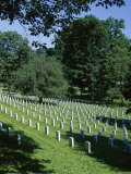Buy Arlington Cemetery, Arlington, Virginia, USA at AllPosters.com
