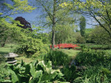 Buy Japanese Bridge, Heale House Gardens, Middle Woodford, Wiltshire, England, United Kingdom at AllPosters.com