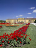 Buy Palace and Gardens, Schonbrunn, Unesco World Heritage Site, Vienna, Austria at AllPosters.com