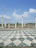 House of the Lion Hunt with Exquisite Floor Mosaics, Pella, Greece