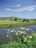 River Brue with Glastonbury Tor in the Distance, Somerset, England, United Kingdom