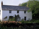 Buy Farmhouse Near St. Keverne, Cornwall, England, United Kingdom at AllPosters.com