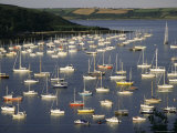Yachts at Anchorage, Falmouth, Cornwall, England, United Kingdom