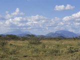 Looking North in Samburu Bush Country, Kenya, East Africa, Africa
