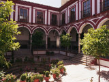 Buy Hospital De Los Venerables, Santa Cruz Quarter, Seville, Andalucia, Spain at AllPosters.com