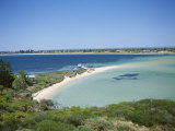 Protected Bird Sanctuary, Penguin Island, Western Australia, Australia