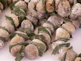 Buy Strings of Dried Figs in the Market, Dubrovnik, Dalmatia, Croatia at AllPosters.com