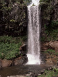 Buy Saut De La Truite Waterfall, South of Plomb Du Cantal, Cantal Mountains, Auvergne, France at AllPosters.com