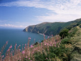 Buy South West Peninsula Coast Path, Devon, England, United Kingdom at AllPosters.com