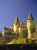 Buy Puymartin Castle, Dordogne, Aquitaine, France at AllPosters.com