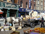 Moore Street Market, Dublin, County Dublin, Eire (Ireland)