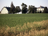 Cornfarm, Hudson, Illinois, Midwest, USA