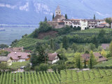 Buy Traminer, the Town That Gave Its Name to Gewurztraminer Wine, Bolzano, Alto Adige, Italy at AllPosters.com