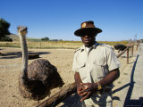 Ostrich Ranch, Tourist Farm, Africa