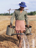 Buy Farmer with Watering Cans, Cambodia, Indochina, Southeast Asia at AllPosters.com