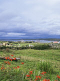 Buy Landscape Near Ardara, County Donegal, Ulster, Eire (Republic of Ireland) at AllPosters.com