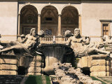 Buy A Cascade in the Gardens of the Palazzo Farnese, Caprarola, Lazio, Italy at AllPosters.com