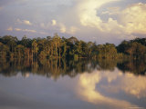 Buy Clouds Reflected in the Sepik River, Papua New Guinea at AllPosters.com
