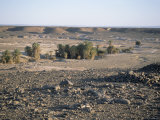 Buy Camp in Palm Trees at Mihad Salah, Draa Valley, Morocco, North Africa, Africa at AllPosters.com