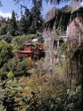 Buy View to Japanese Garden, Monte Palace Tropical Garden, Funchal, Madeira, Portugal at AllPosters.com