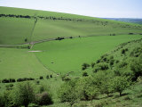 The South Downs Between Lewes and Glynde, East Sussex, England, United Kingdom
