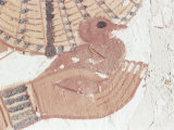 Buy Wall Painting of Bird in Hand in Tomb of Nakht, Valley of Nobles, UNESCO World Heritage Site at AllPosters.com