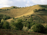 Buy Landscape Near Chieti, Abruzzo, Italy at AllPosters.com