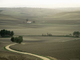 Buy Landscape Near Larino, Molise, Italy at AllPosters.com