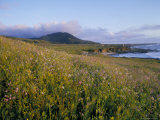 Buy Montana De Cro State Park, California, USA at AllPosters.com