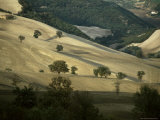 Buy Landscape Near Larino, Molise, Italy at AllPosters.com