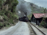 Toy Train En Route for Darjeeling, West Bengal State, India