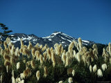 Buy Mount Ruapehu, Tongariro National Park, Unesco World Heritage Site, North Island, New Zealand at AllPosters.com
