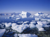 Buy Icebergs and Brash Ice, Antarctica, Polar Regions at AllPosters.com