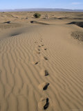 Buy Dunes and Camp Under Tree in the Distance at Erg Al Hatin, Desert Trek, Draa Valley, Morocco at AllPosters.com