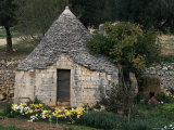 Buy Trullo Near Locorotondo, Puglia, Italy at AllPosters.com