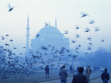 Latali Mosque, Istanbul, Turkey, Eurasia