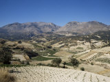Agricultural Valley and Mountains, Heraklion, Crete, Greece
