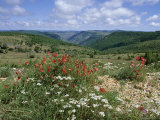 Causse Mejean, Gorges Du Tarn Behind, Lozere, Languedoc-Roussillon, France