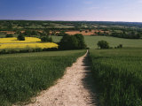 Footpath, Heaversham, Near Sevenoaks, North Downs, Kent, England, United Kingdom