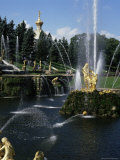 Buy Fountains, Petrodvorets (Peterhof), St. Petersburg, Russia at AllPosters.com