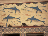 Dolphins, Knossos, Crete, Greek Islands, Greece Photographic Print