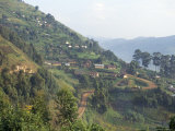 Terraced Fields on the Road to Kisoro, Southwestern Area, Uganda, East Africa, Africa