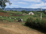 Buy People Leaving Church on a Sunday, Fort Portal, Uganda, East Africa, Africa at AllPosters.com