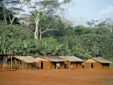 Buy Village in the Jungle, Northern Area, Congo, Africa at AllPosters.com
