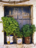 Windowsill, Paleohora, Crete, Greece