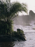 Buy Chutes De La Lobe, Kribi, West Coast, Cameroon, Africa at AllPosters.com
