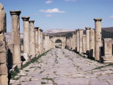 Buy Main Street and Arch from the Capitol, Roman Site of Djemila, Unesco World Heritage Site, Algeria at AllPosters.com