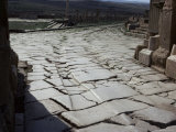 Buy Chariot Wheel Ruts by the West Gate, Roman Site of Timgad, Unesco World Heritage Site, Algeria at AllPosters.com