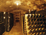 Buy Cellar, Wine Production, Saarburg, Saar-Valley, Germany at AllPosters.com